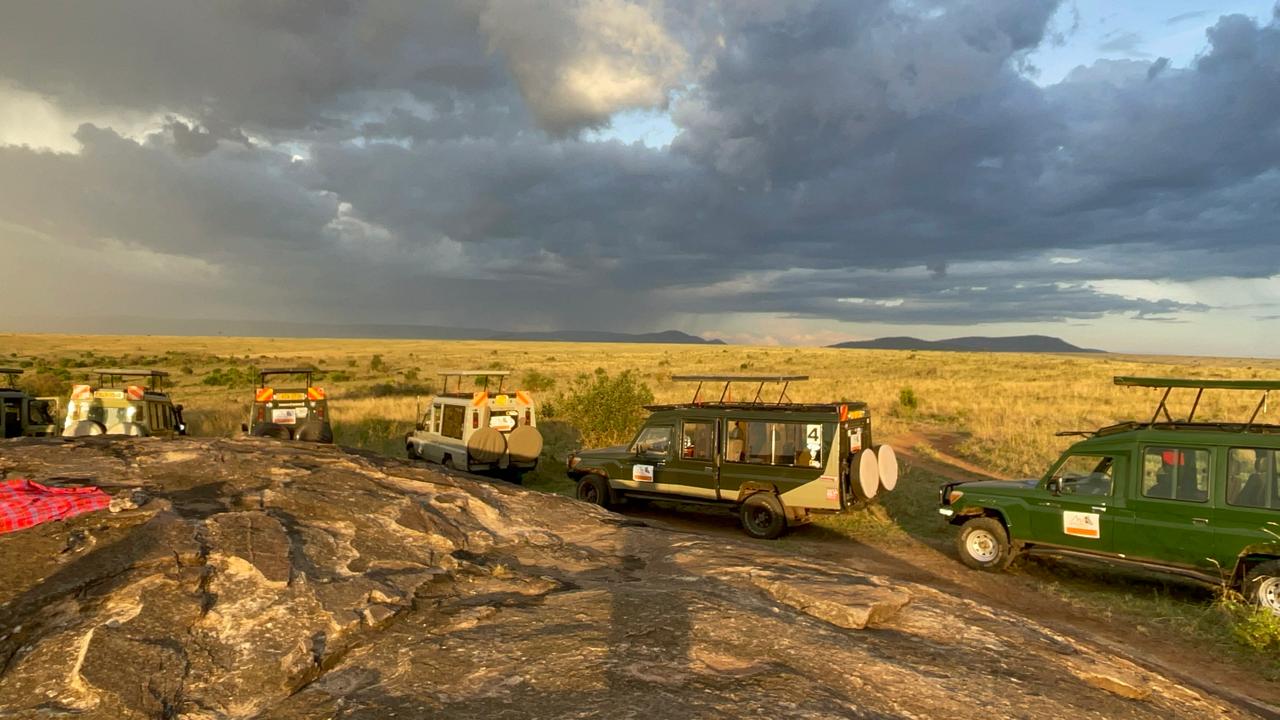 Kenya Safari