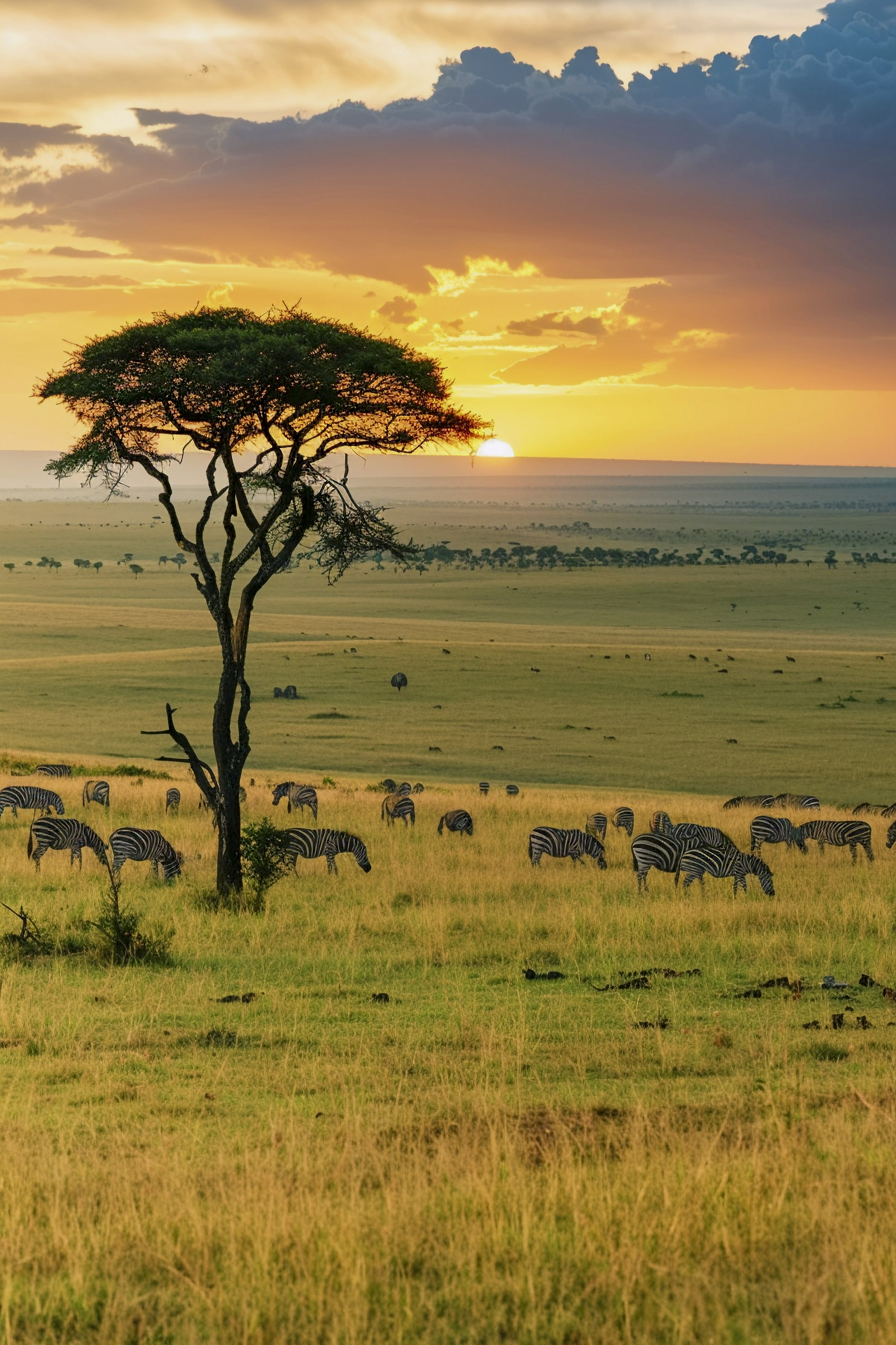 Maasai Mara